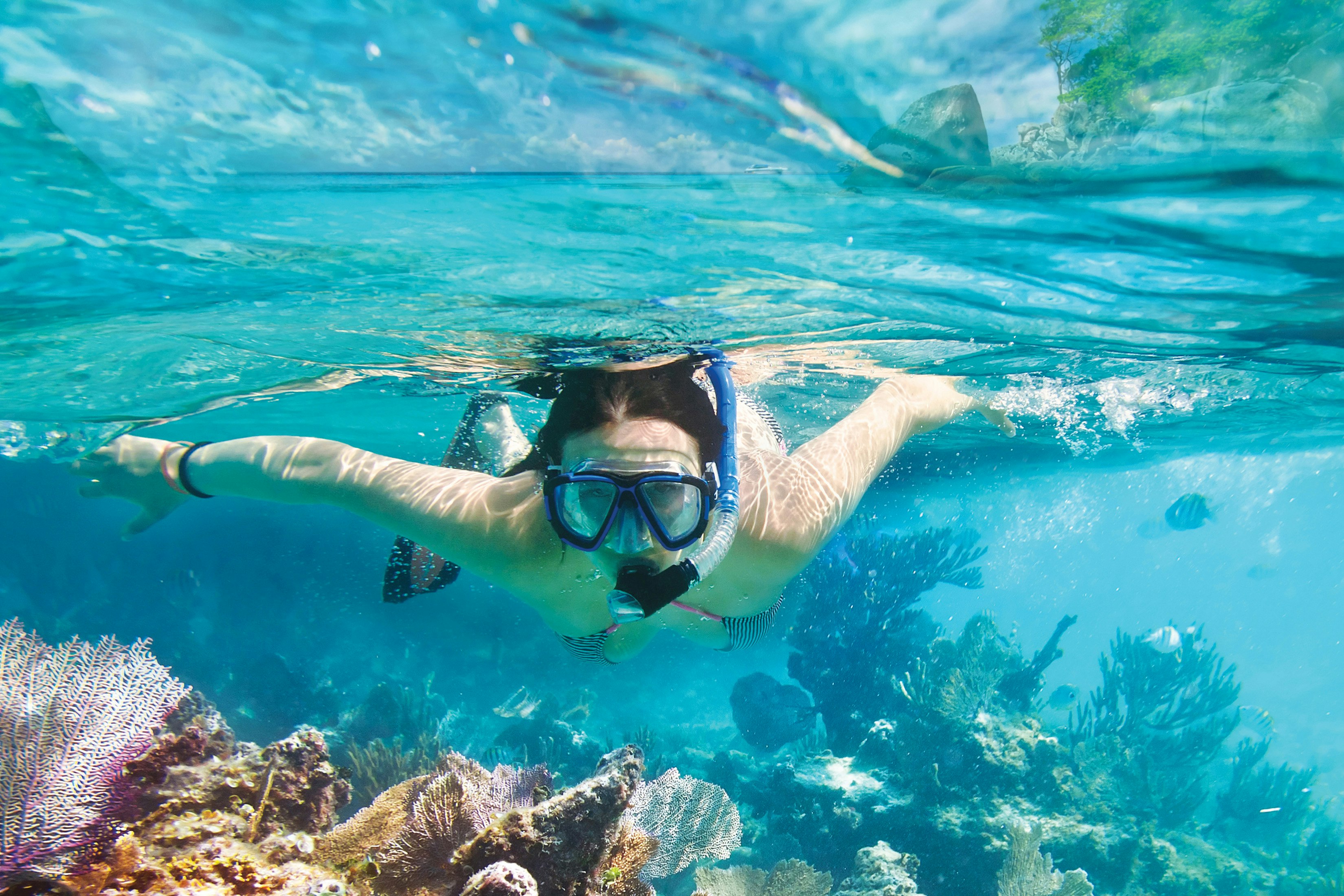 Activities - Snorkelling