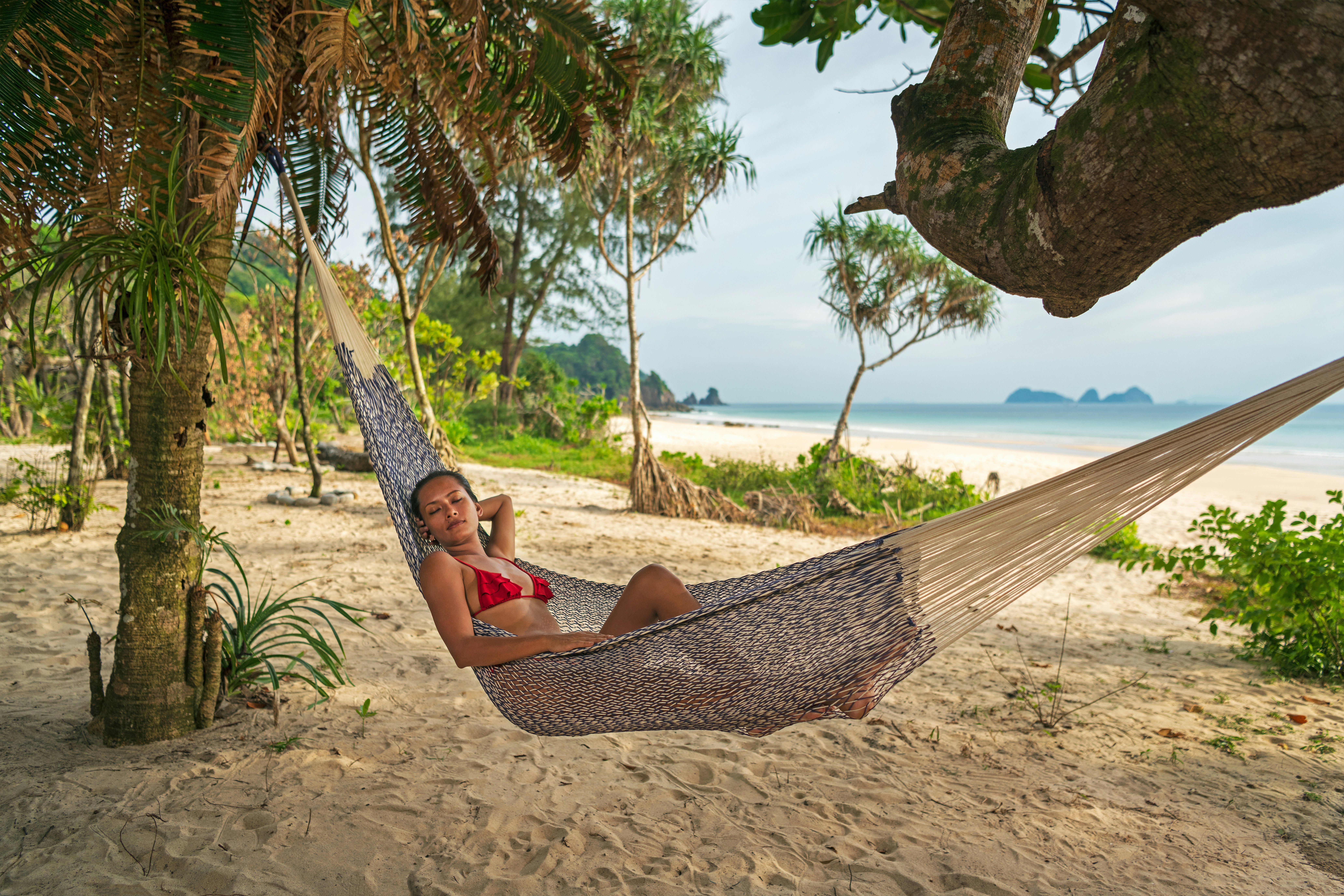Beach Hammock