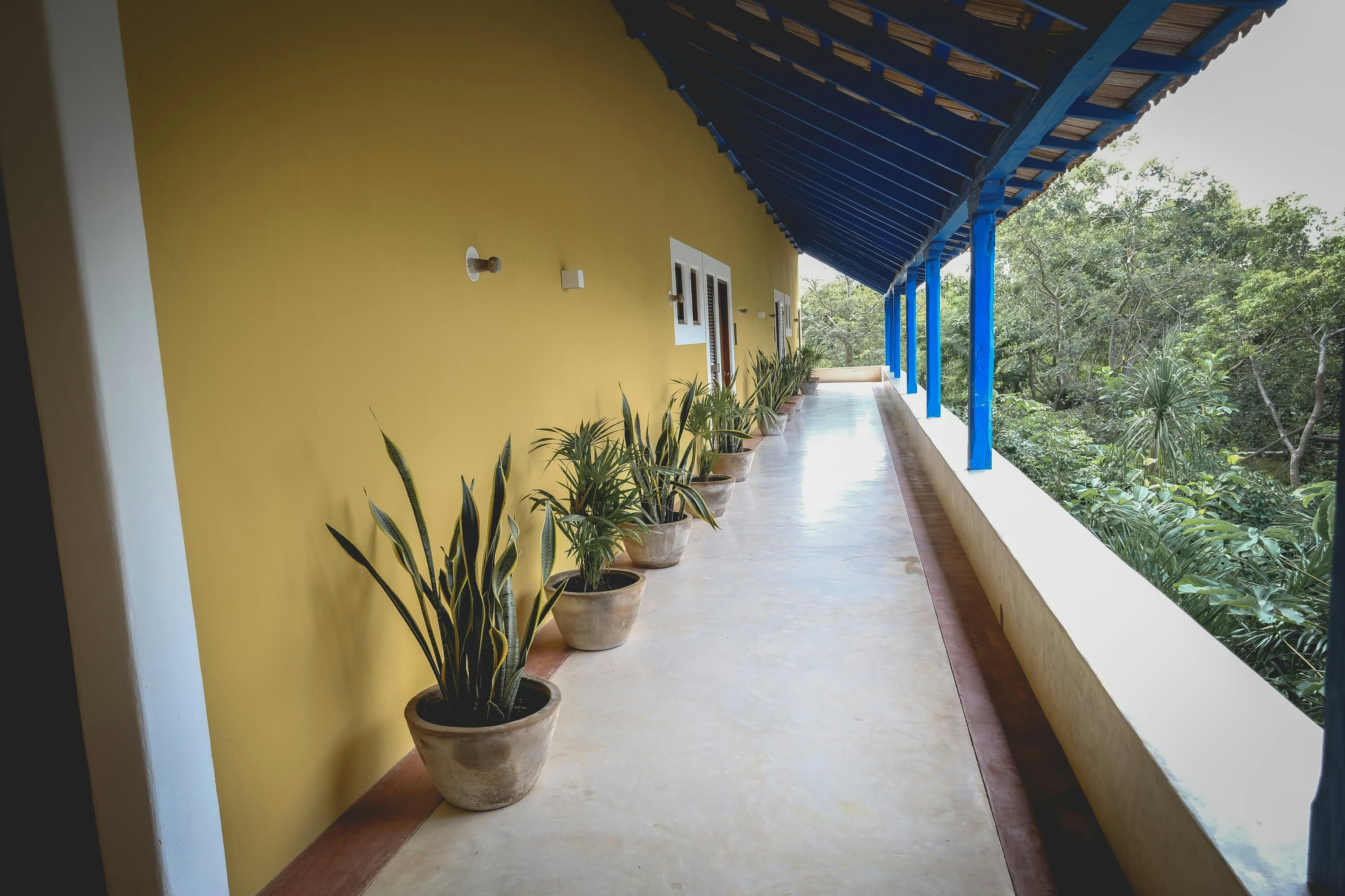 Standard King - Entrance