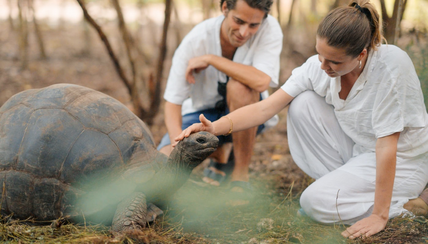 Xanadu Villas Zanzibar - Turtles