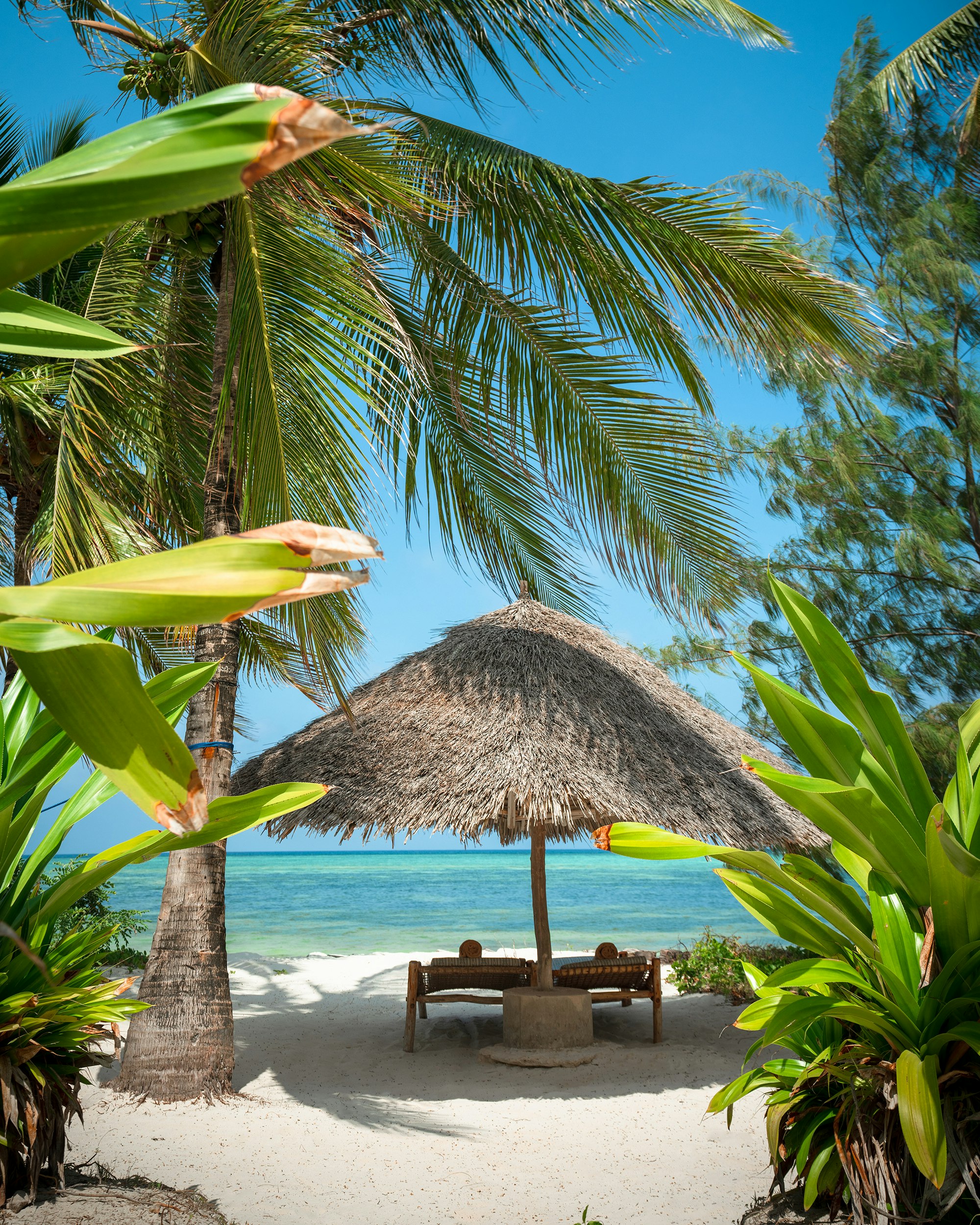 Villa Alfajiri - Beachfront