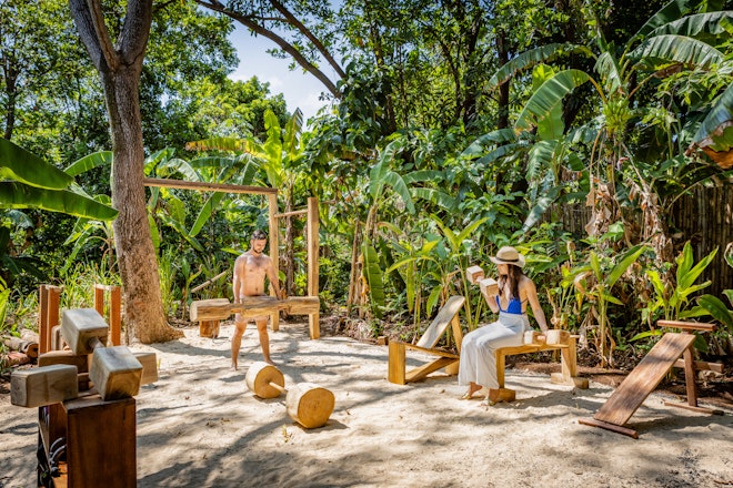 Jungle Gym