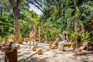 Jungle Gym