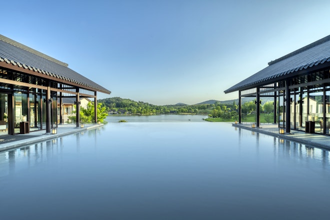 Infinity Pool