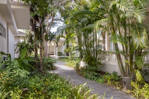 Exotic Landscape