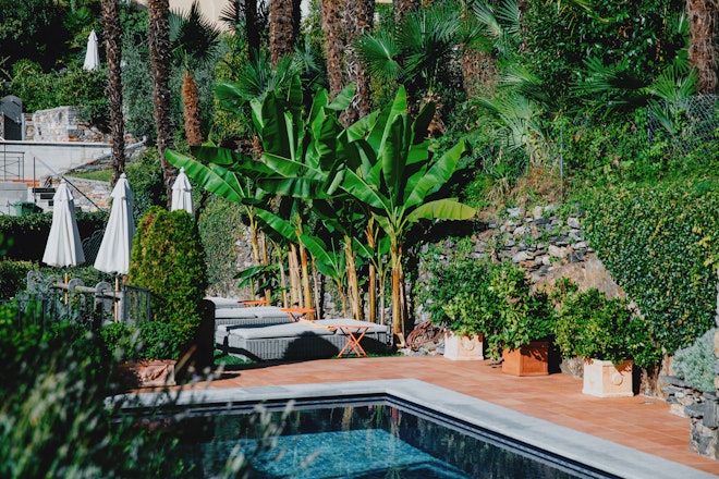 Rooftop Pool