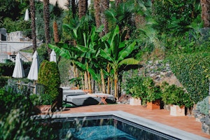 Rooftop Pool