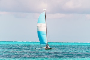 Hobie Cat
