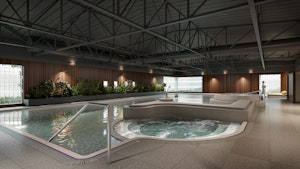 Indoor Pool and Jacuzzi
