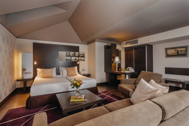 Superior Attic - Bedroom & Living Area