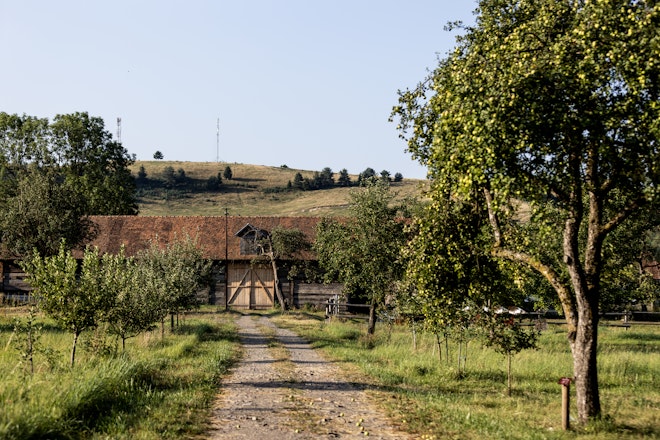 Estate