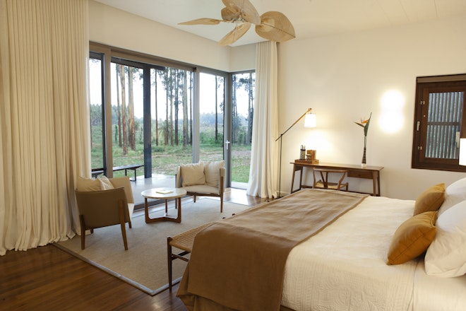 Deluxe - Bedroom