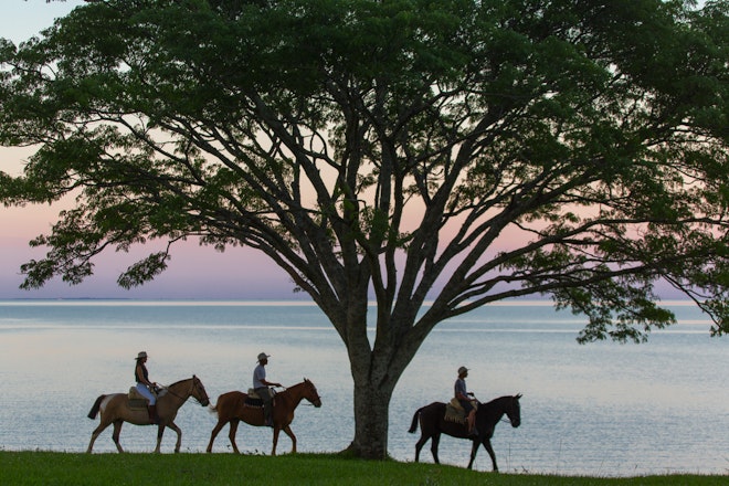 Horseback Riding