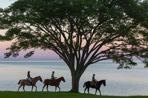 Horseback Riding