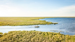 Iberá Wetlands