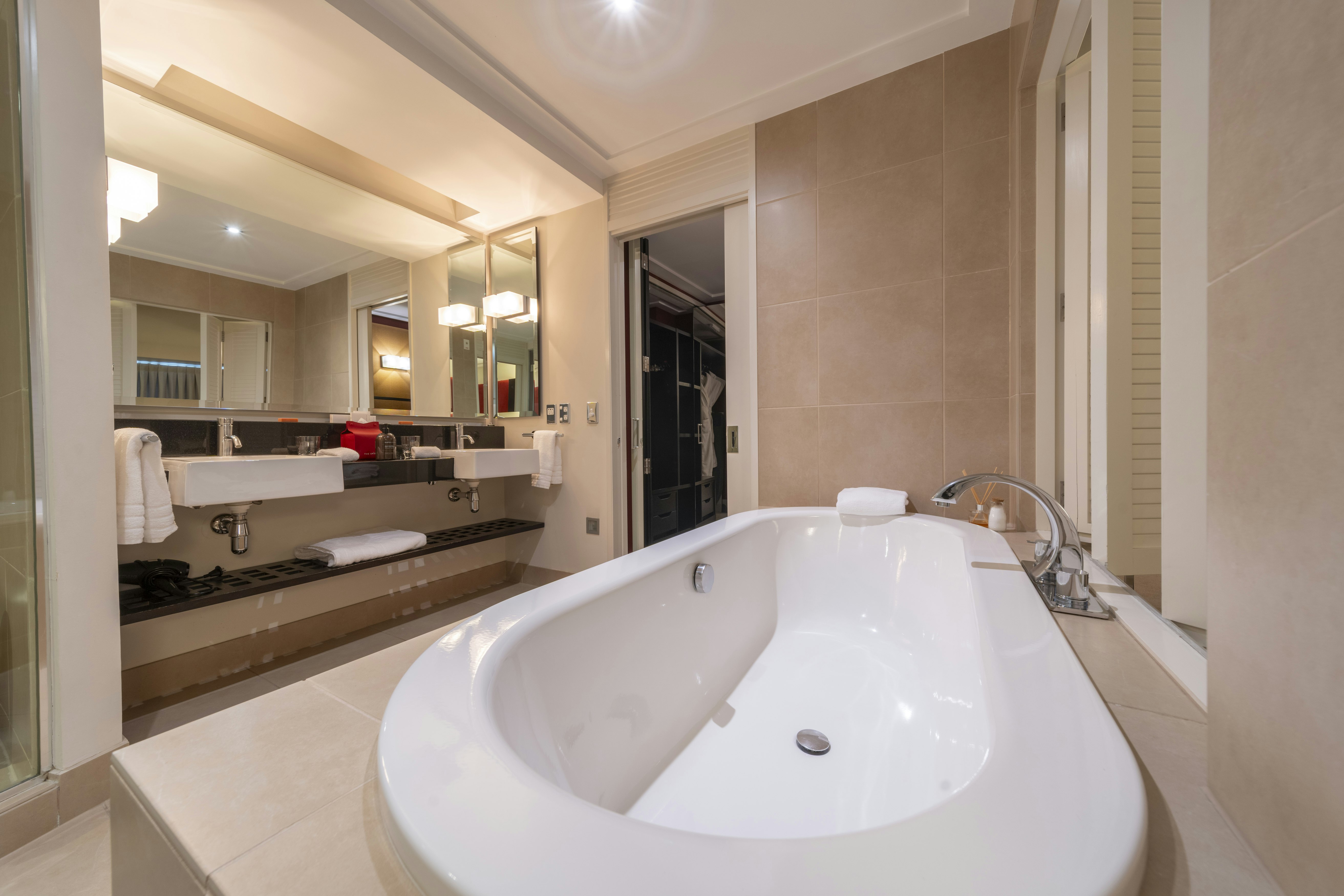 Laneway Suite - Bathtub