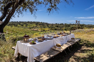Picnic