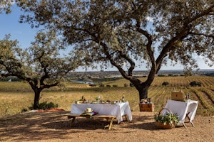 Pic nic