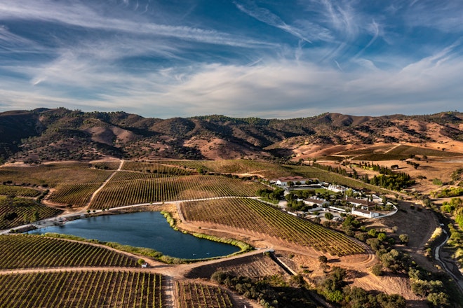 Aereal Estate View