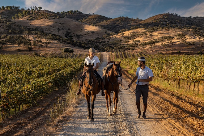 Horseback Riding