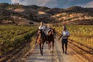 Horseback Riding