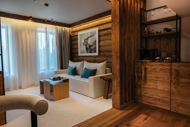 Deluxe Suite Park View - Living Area