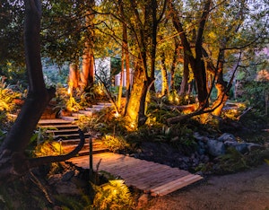Creekside Glass Cabin - Pathway