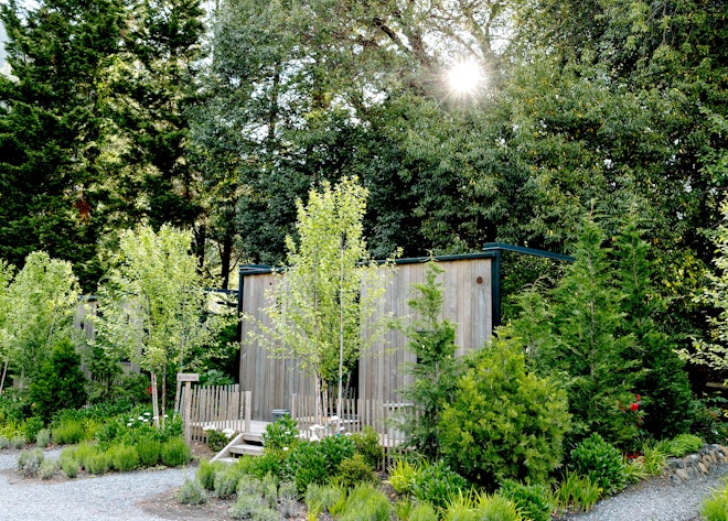 Creekside Glass Cabin - Exterior