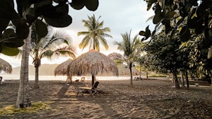Beachfront Palapas