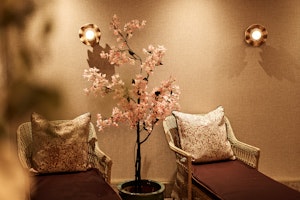 Wellness Lounge
