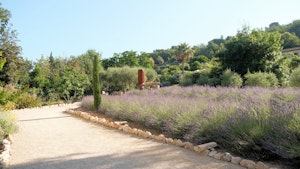 Sculpture Park