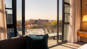 King Room Vista View - View