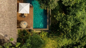 Jungle Pool Pavilion - Pool
