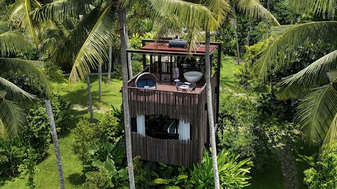 Canopy Suite - Rooftop