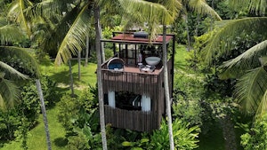 Canopy Suite - Rooftop