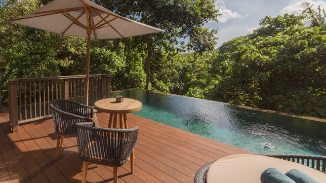 Jungle Pool Pavilion - Pool