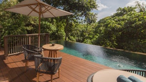Jungle Pool Pavilion - Pool