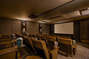 Cinema