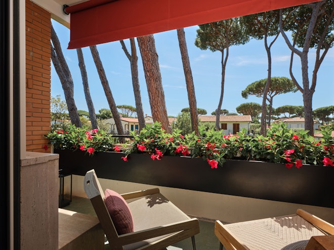 Deluxe Room with Terrace - Terrace