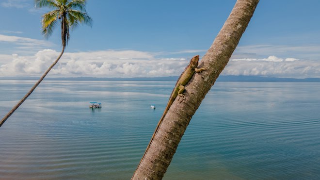Wildlife Spotting Experience