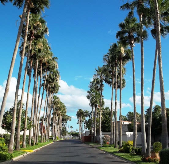 Victoria Palms Inn and Suites