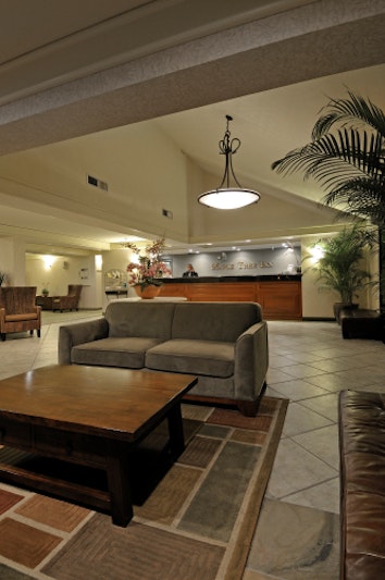 Maple Tree Inn