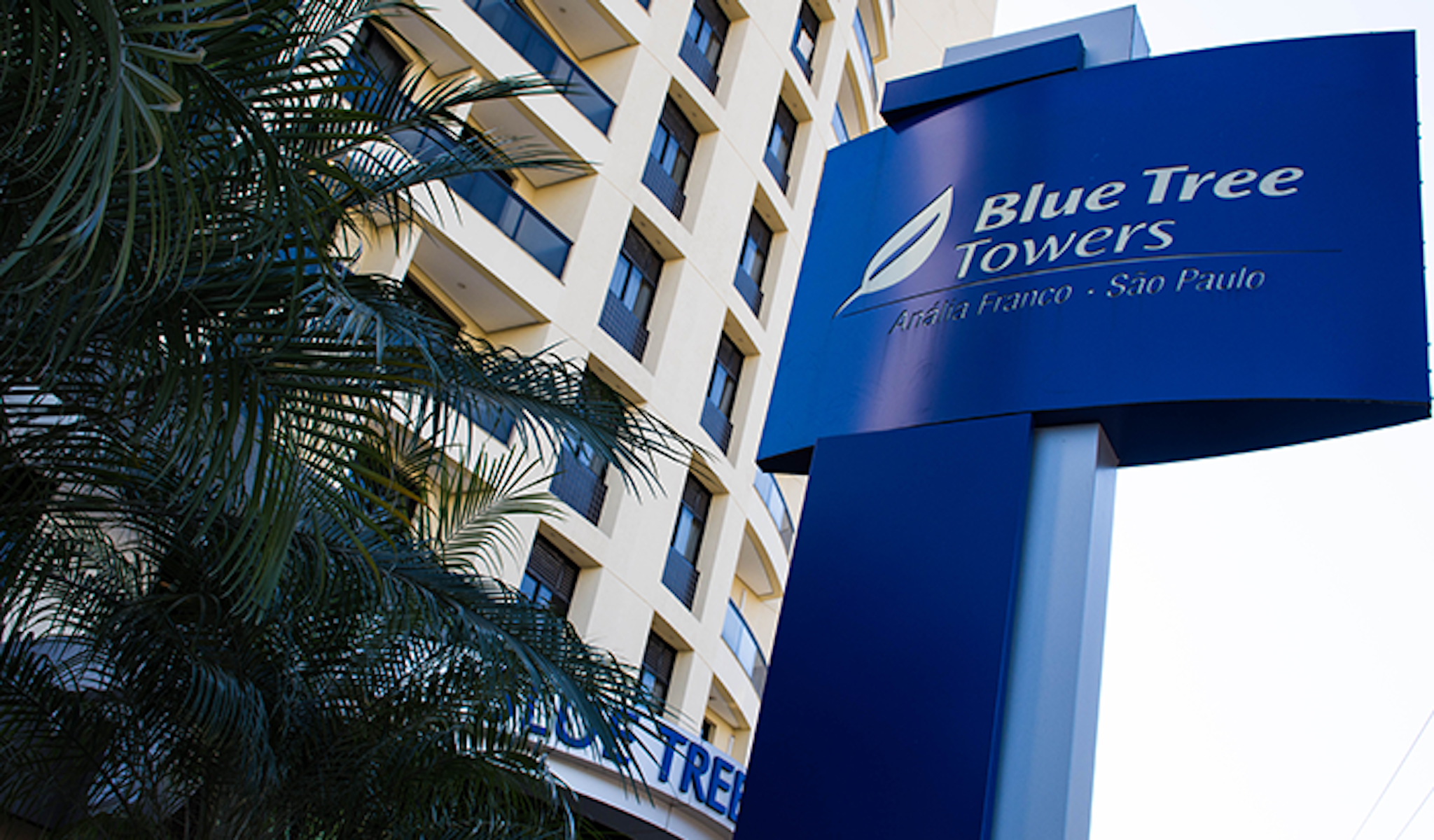Blue Tree Towers Analia Franco