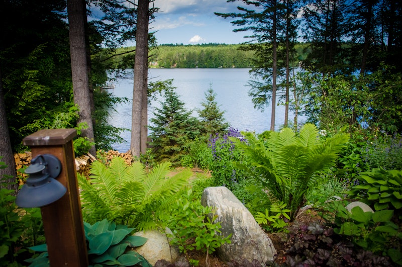 Fern Lodge