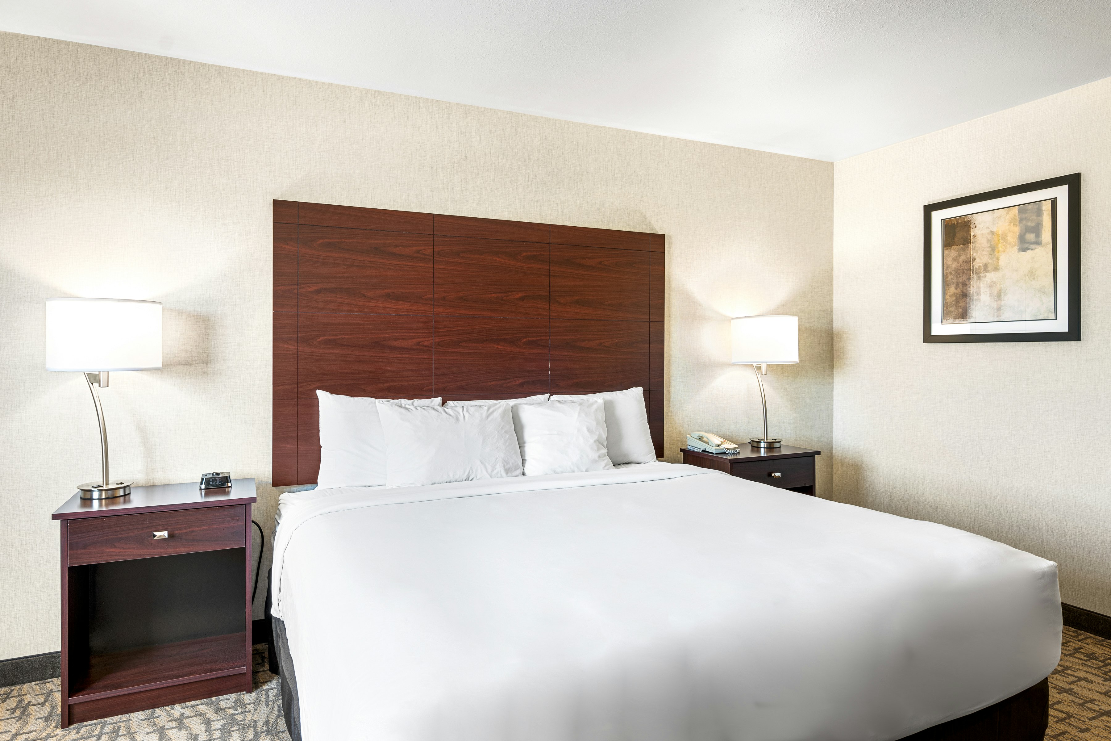 Boarders Inn Suites by Cobblestone Hotels – Shawano