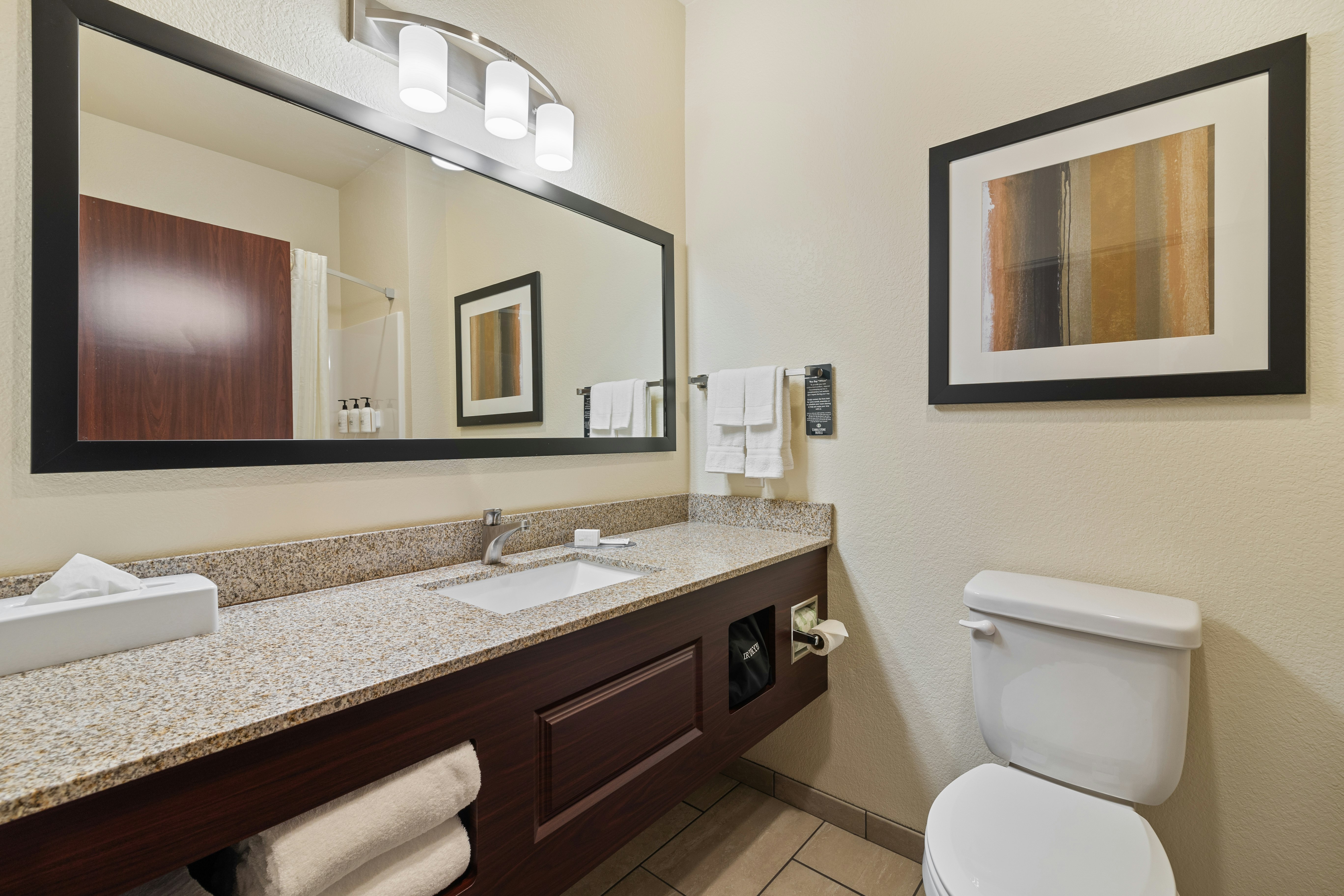 Single King Guestroom Non-Smoking with Audible/Visual Alert