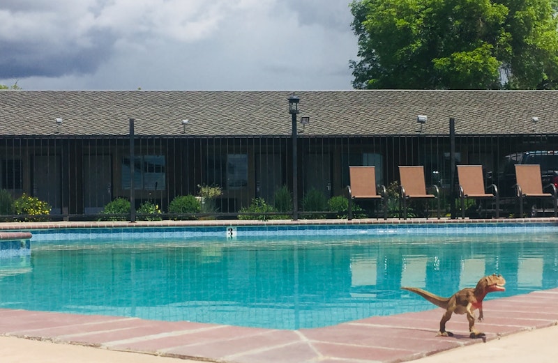 Dinosaur Inn and Suites