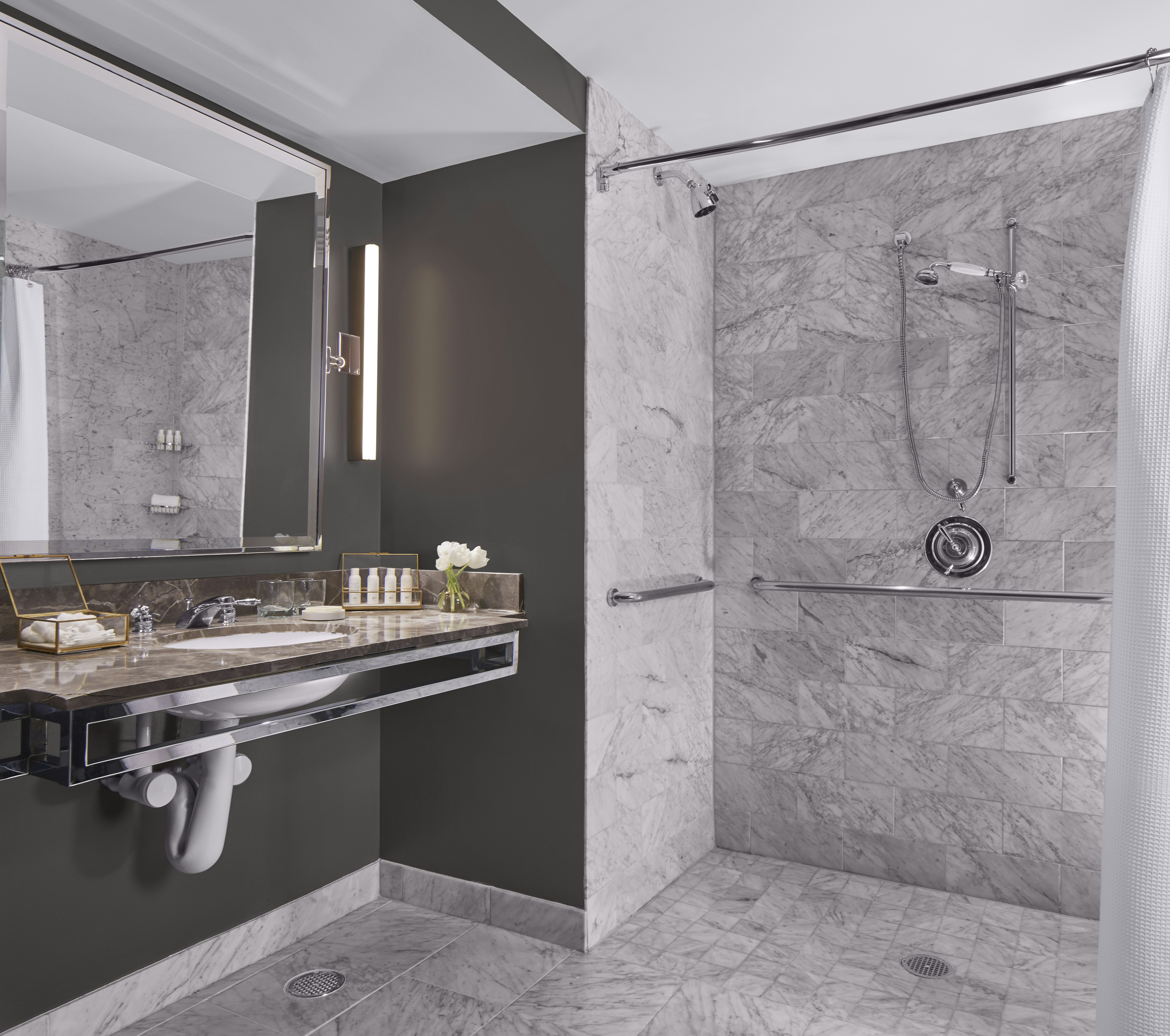 Standard King Accessible Roll In Shower