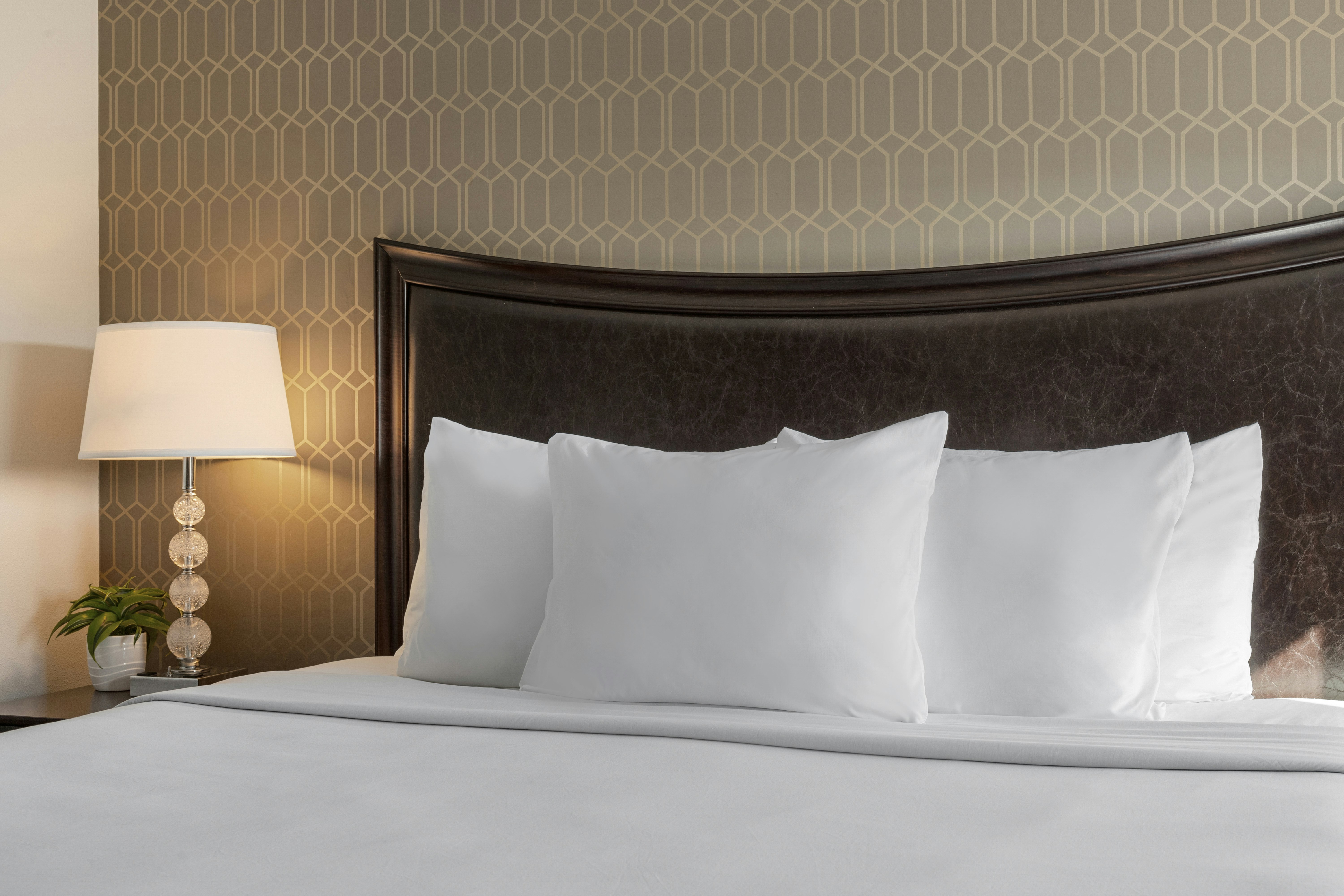 Peacock Suites