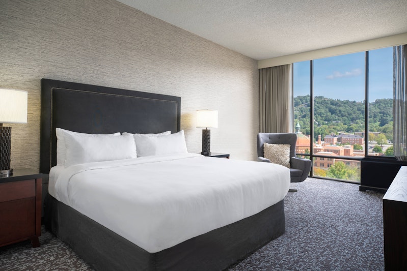 Renaissance Asheville Downtown Hotel